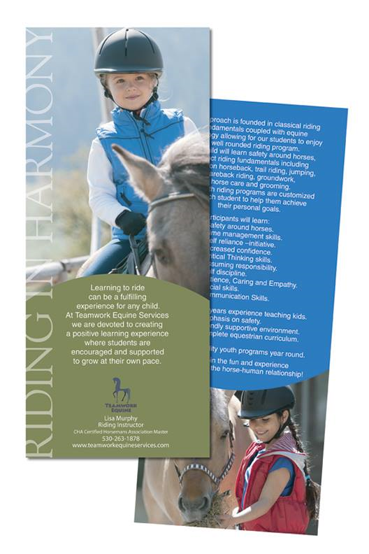 Slim Flyer